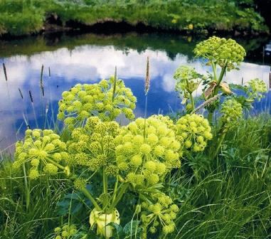 (Photo: Arctic Portal by Halldór Jóhannsson, Icelandic Clay Area) (Photo: Arctic Portal by Halldór Jóhannsson, Icelandic Clay Area)
