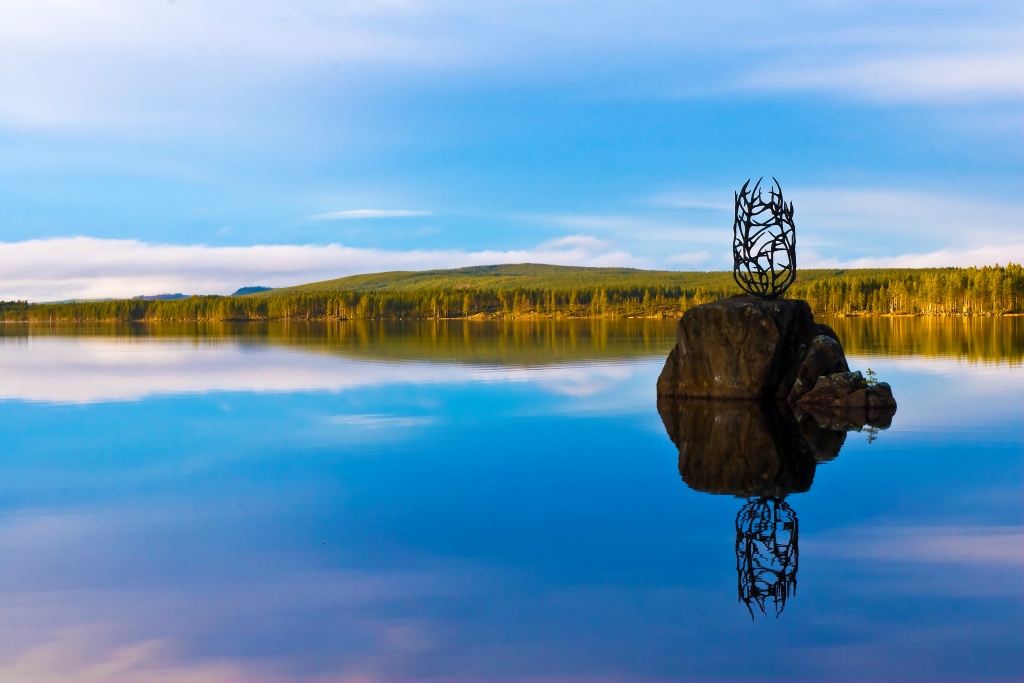 arctic landscape during summer