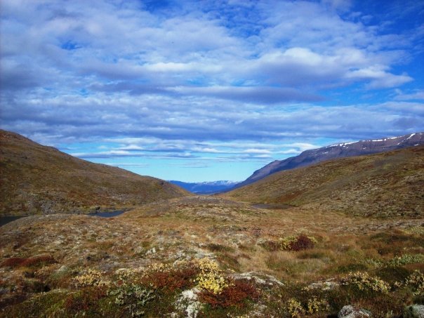Icelandic nature