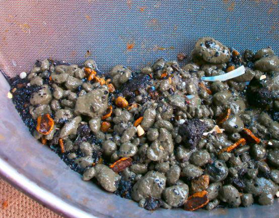 Benthic sample from the Iceland Sea