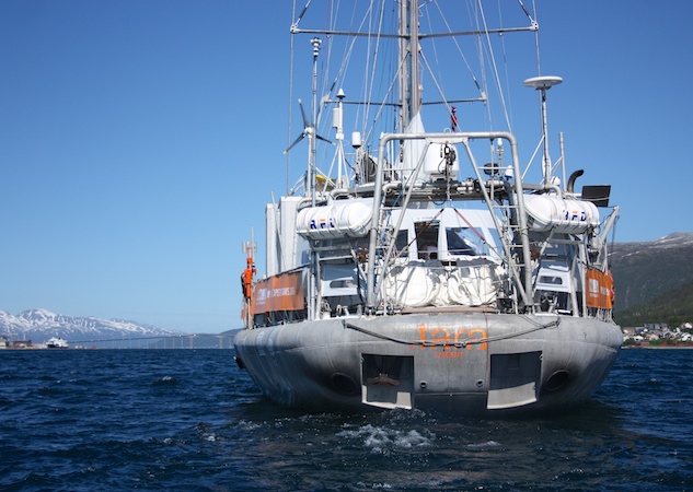 TARA research schooner