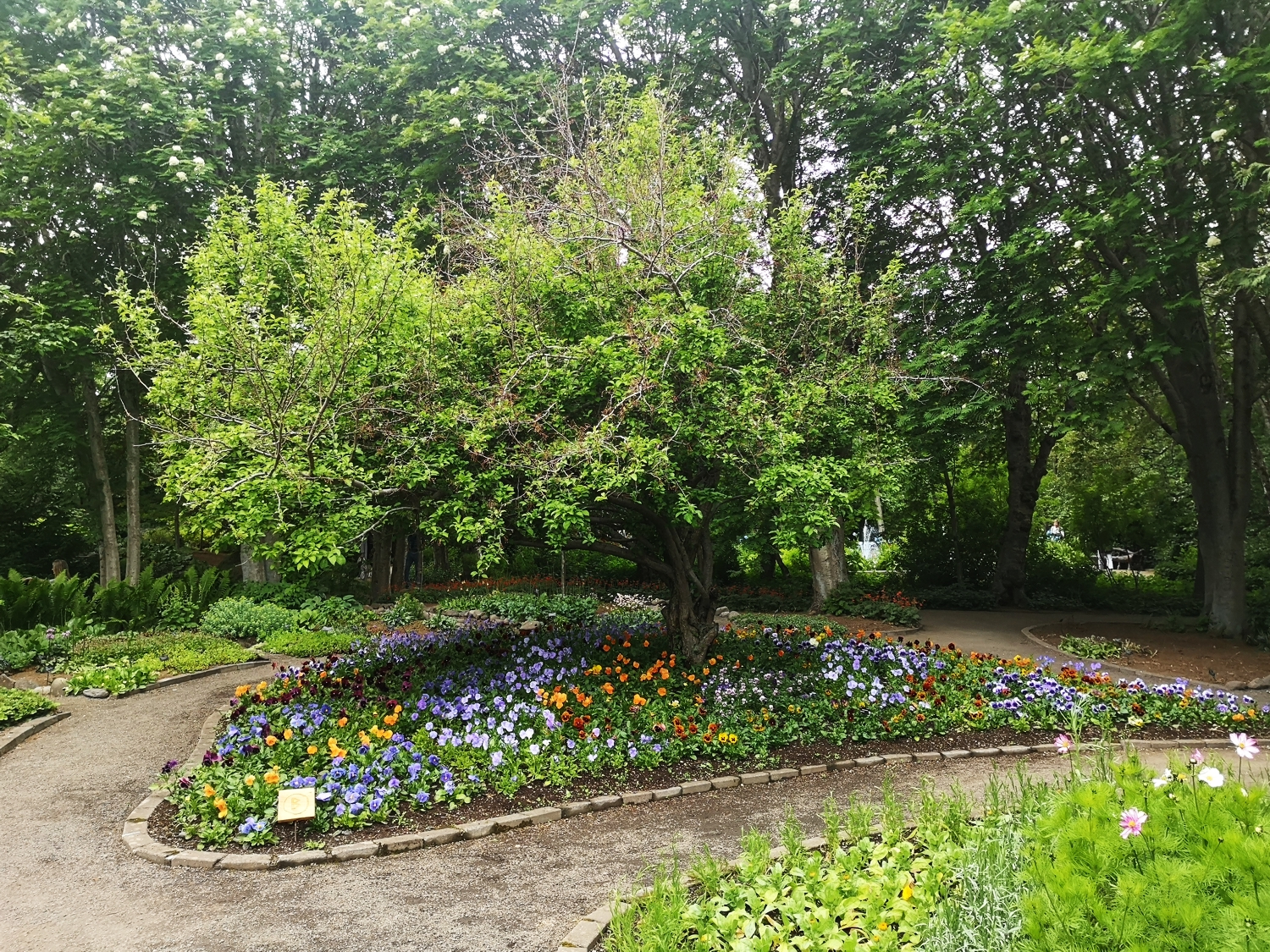 Botanical Garden Akureyri