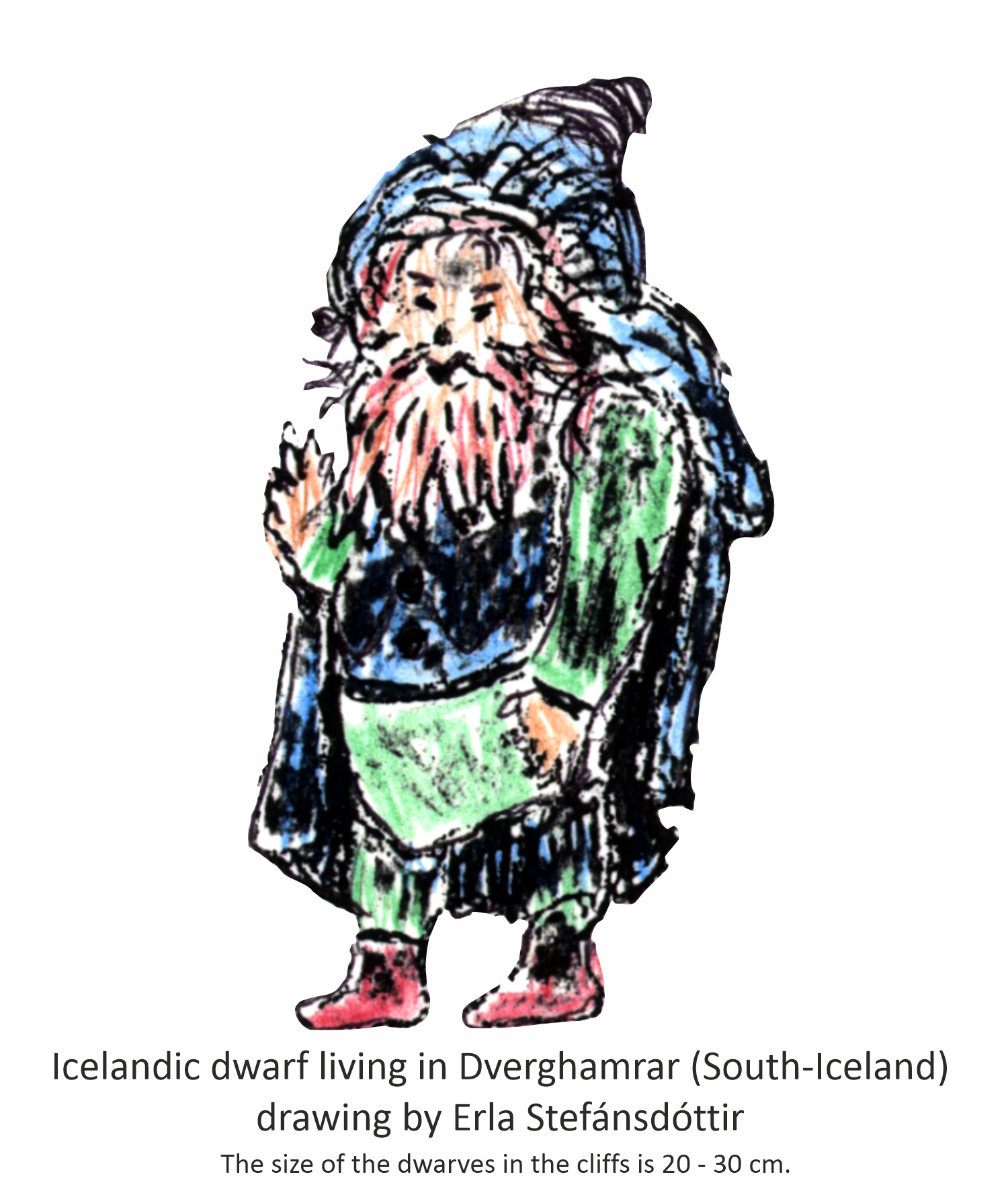 Icelandic Dwarf drawing