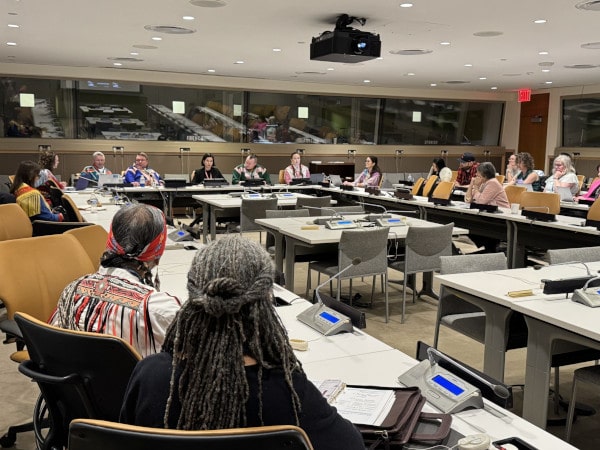 Indigenous reindeer herders, Sámi political leaders, and international experts convened to spotlight the challenges of land fragmentation and its impact on implementing the United Nations Declaration on the Rights of Indigenous Peoples (UNDRIP)
